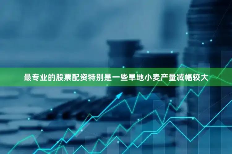 最专业的股票配资特别是一些旱地小麦产量减幅较大