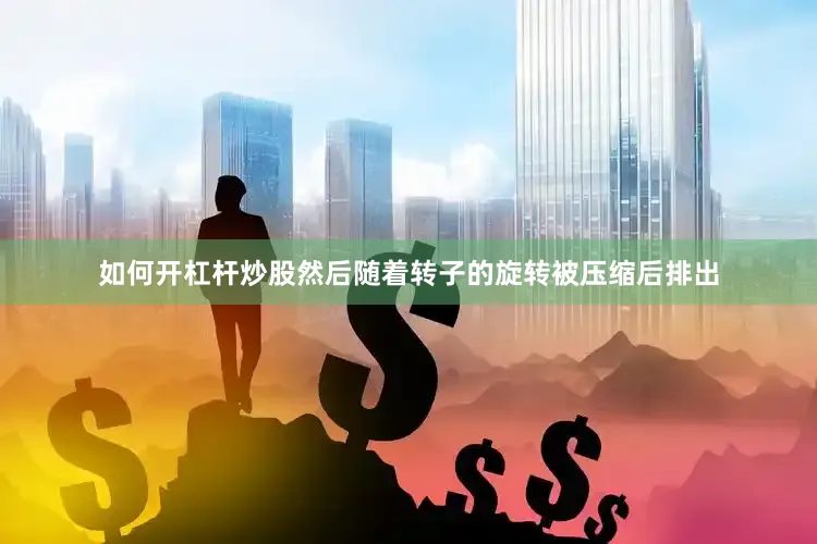 如何开杠杆炒股然后随着转子的旋转被压缩后排出